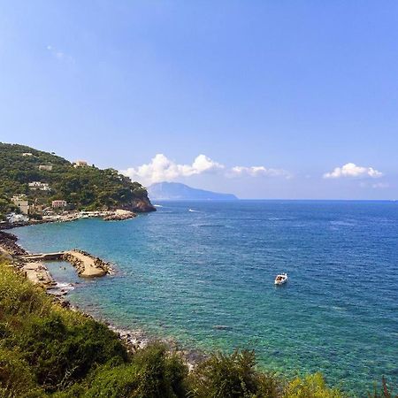 Villa Panorama Massa Lubrense Dış mekan fotoğraf