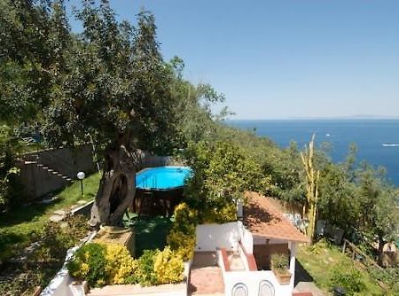 Villa Panorama Massa Lubrense Dış mekan fotoğraf