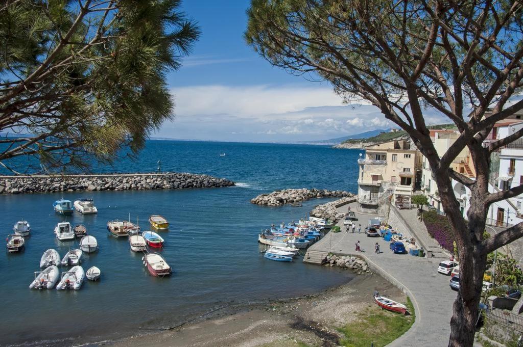 Villa Panorama Massa Lubrense Dış mekan fotoğraf