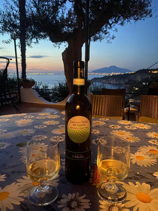 Villa Panorama Massa Lubrense Dış mekan fotoğraf