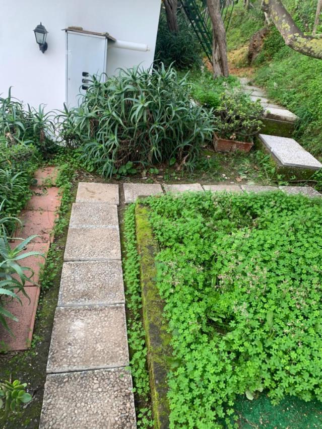 Villa Panorama Massa Lubrense Dış mekan fotoğraf